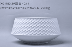 WWTX01183.39